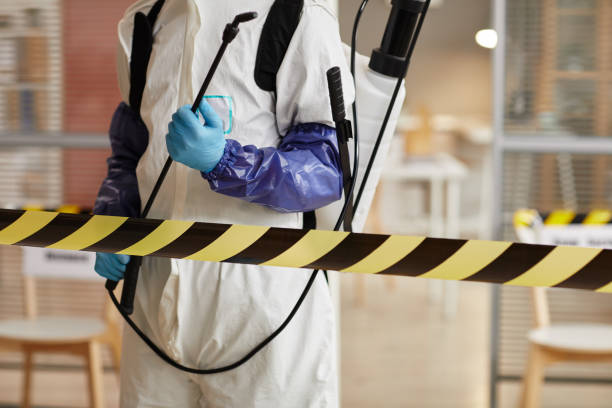 Professional Hoarding Cleanup technician working in Lena, IL