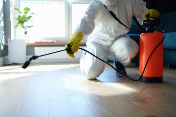 Reliable Hoarding Cleanup contractor in Lena, IL by Dulley Family Biohazard Services